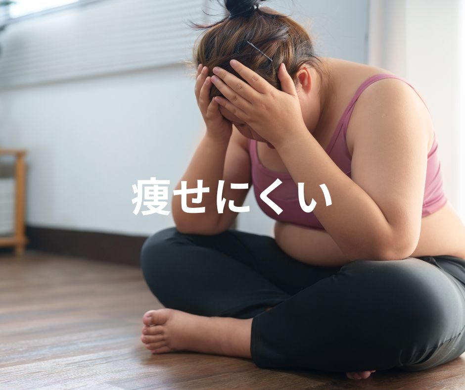 痩せにくい原因